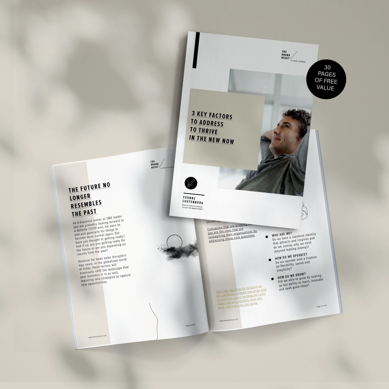 The Brand reset EBook-web